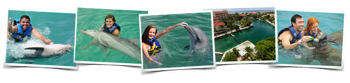 Programa nado delfines Swim Adventure