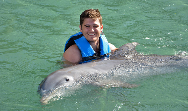 Dolphin Encounter 