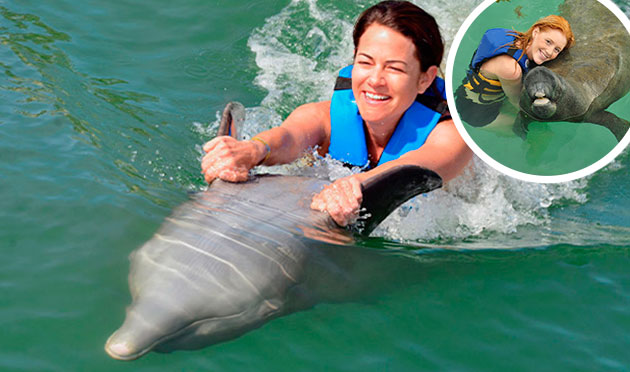 Dolphin Swim Adventure 