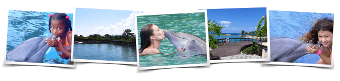 Dolphin Meet N Greet Panama City Beach, Florida
