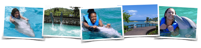 Dolphin Swim Moon Palace Jamaica