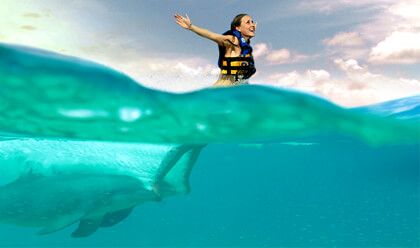 Royal Swim 