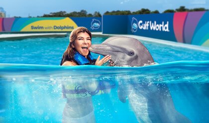 Dolphin Encounter 