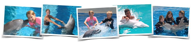 Actividad Encounter en Dolphin Panama City Florida
