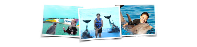Actividad Royal Swim en Dolphin Panama City Florida
