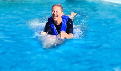 Dolphin Swim Adventure 