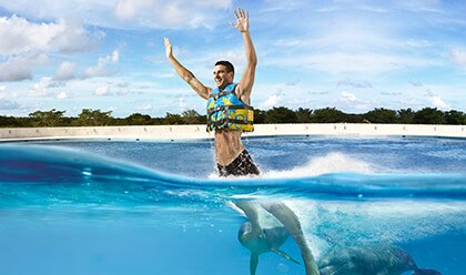 Dolphin Royal Swim 