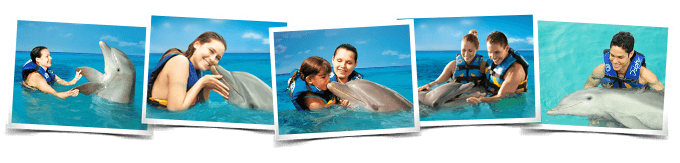 Actividades Nados delfines Dolphin Encounter Cancun