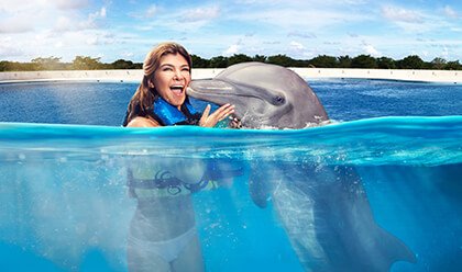 Dolphin Encounter 