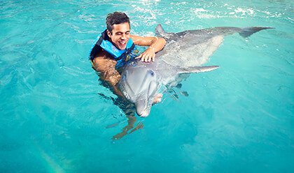 Dolphin Encounter 