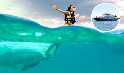 Royal Swim + Ferry St. John Royal Swim + Ferry St. John