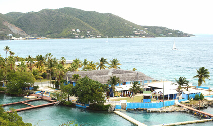 Tortola Full Day 