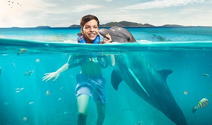 Dolphin Discovery Swim 