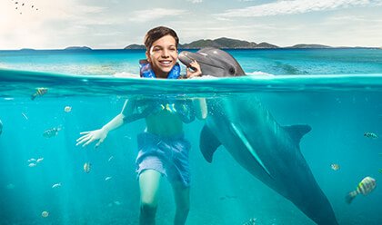 Dolphin Discovery Swim 