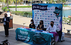 THE DOLPHIN COMPANY ANUNCIA EL CUARTO 
            FORO DEL DÍA DEL DELFÍN CON IMPORTANTES ACTIVIDADES EDUCATIVAS