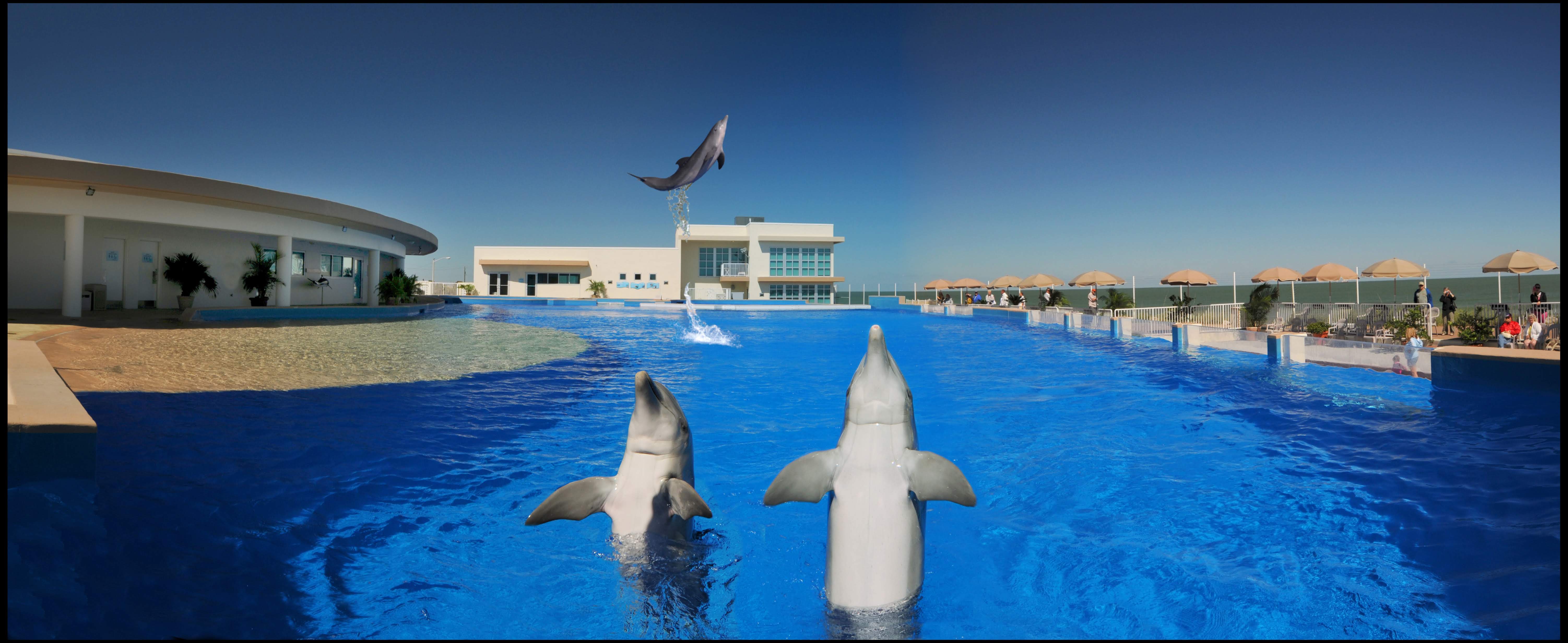 MARINELAND RECIBE ACREDITACIÓN DE LA ASOCIACIÓN DE ZOOLÓGICOS Y ACUARIOS 