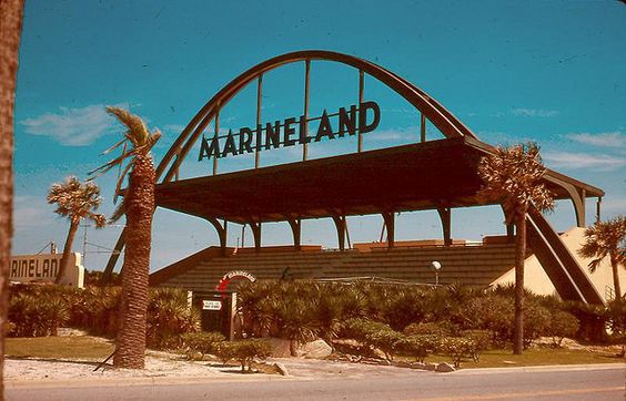 MARINELAND, MIEMBRO DE LA FAMILIA THE DOLPHIN COMPANY CELEBRA 83 AÑOS DE EXPERIENCIA