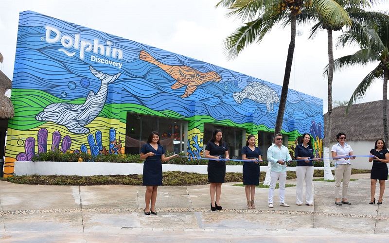 DOLPHIN DISCOVERY COZUMEL PRESENTA SU MURAL "OCEAN OF LOVE"