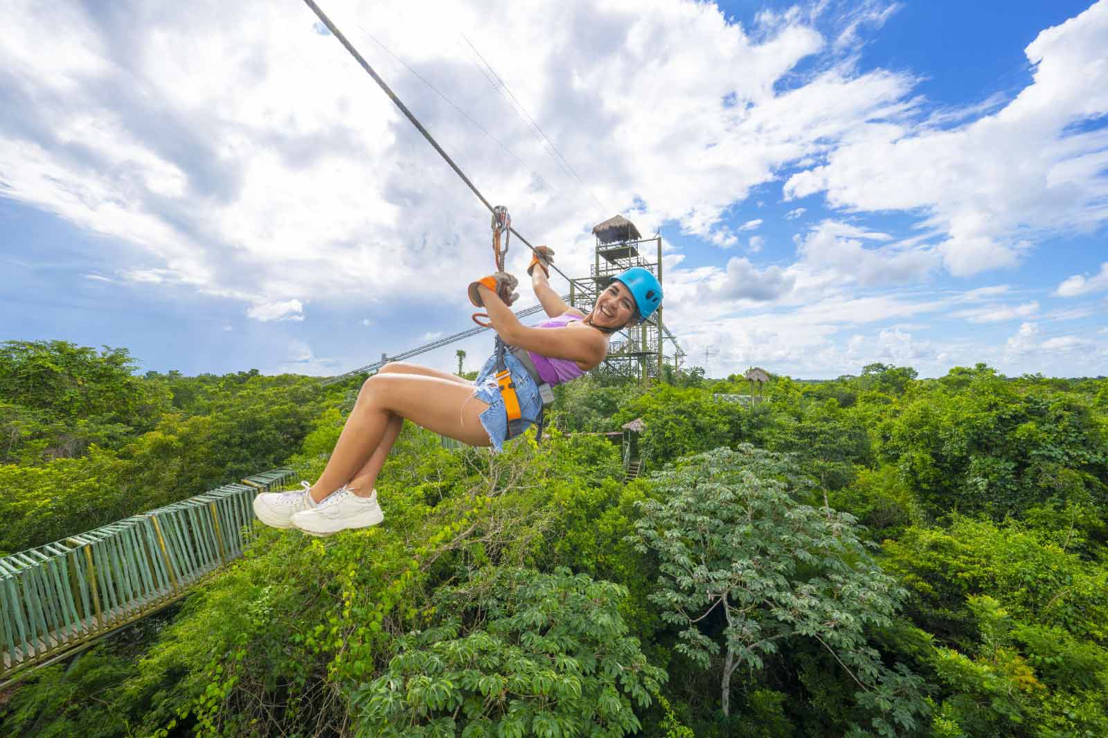 The Dolphin Company Celebra 31 años