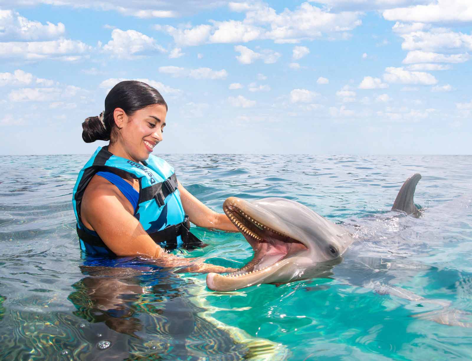 THE DOLPHIN COMPANY CONMEMORA 31 AÑOS