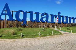 GRUPO DOLPHIN CONTINÚA SU EXPANSIÓN Y ADQUIERE UNO DE LOS MÁS IMPORTANTES ACUARIOS DE SUDAMÉRICA, EL "AQUARIUM MAR DEL PLATA" EN ARGENTINA