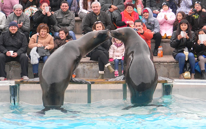 GRUPO DOLPHIN CONTINÚA SU EXPANSIÓN Y ADQUIERE UNO DE LOS MÁS IMPORTANTES ACUARIOS DE SUDAMÉRICA, EL "AQUARIUM MAR DEL PLATA" EN ARGENTINA