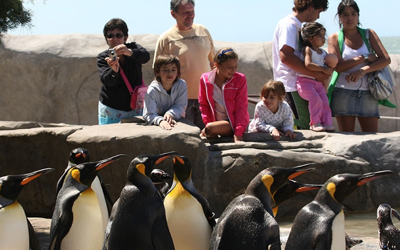 GRUPO DOLPHIN CONTINÚA SU EXPANSIÓN Y ADQUIERE UNO DE LOS MÁS IMPORTANTES ACUARIOS DE SUDAMÉRICA, EL "AQUARIUM MAR DEL PLATA" EN ARGENTINA