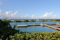 DOLPHIN DISCOVERY ADQUIERE DOLPHIN CONNECTION EN FLORIDA
