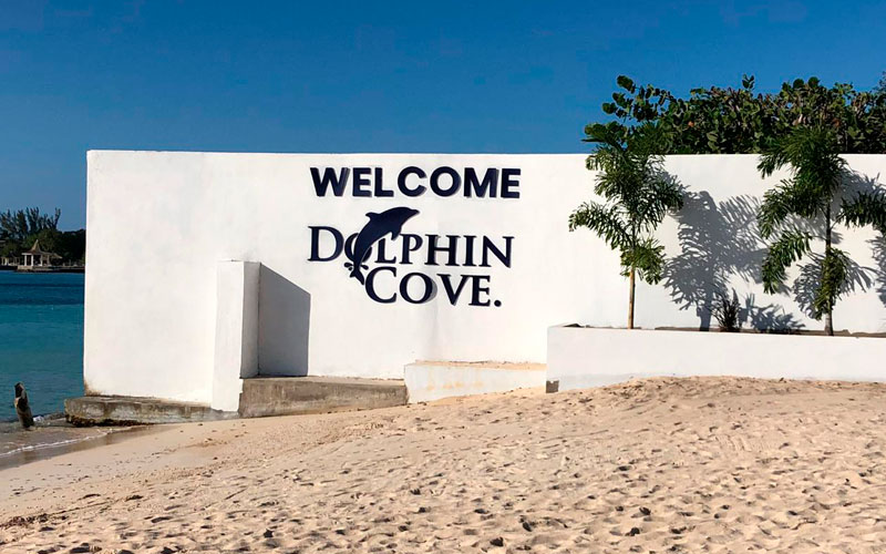 "DOLPHIN COVE PUERTO SECO", EL NUEVO HÁBITAT DE GRUPO DOLPHIN EN JAMAICA