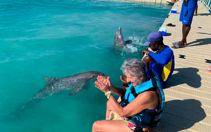 "DOLPHIN COVE PUERTO SECO", EL NUEVO HÁBITAT DE GRUPO DOLPHIN EN JAMAICA