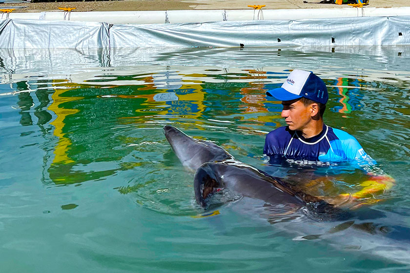 VETERINARIOS DE DOLPHIN DISCOVERY LOS CABOS SALVAN LA VIDA DE UN DELFÍN ATRAPADO EN UNA RED DE PESCA