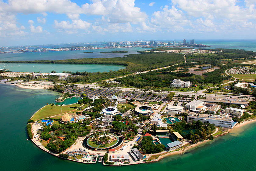 THE DOLPHIN COMPANY DA LA BIENVENIDA A MIAMI SEAQUARIUM A SU FAMILIA DE PARQUES