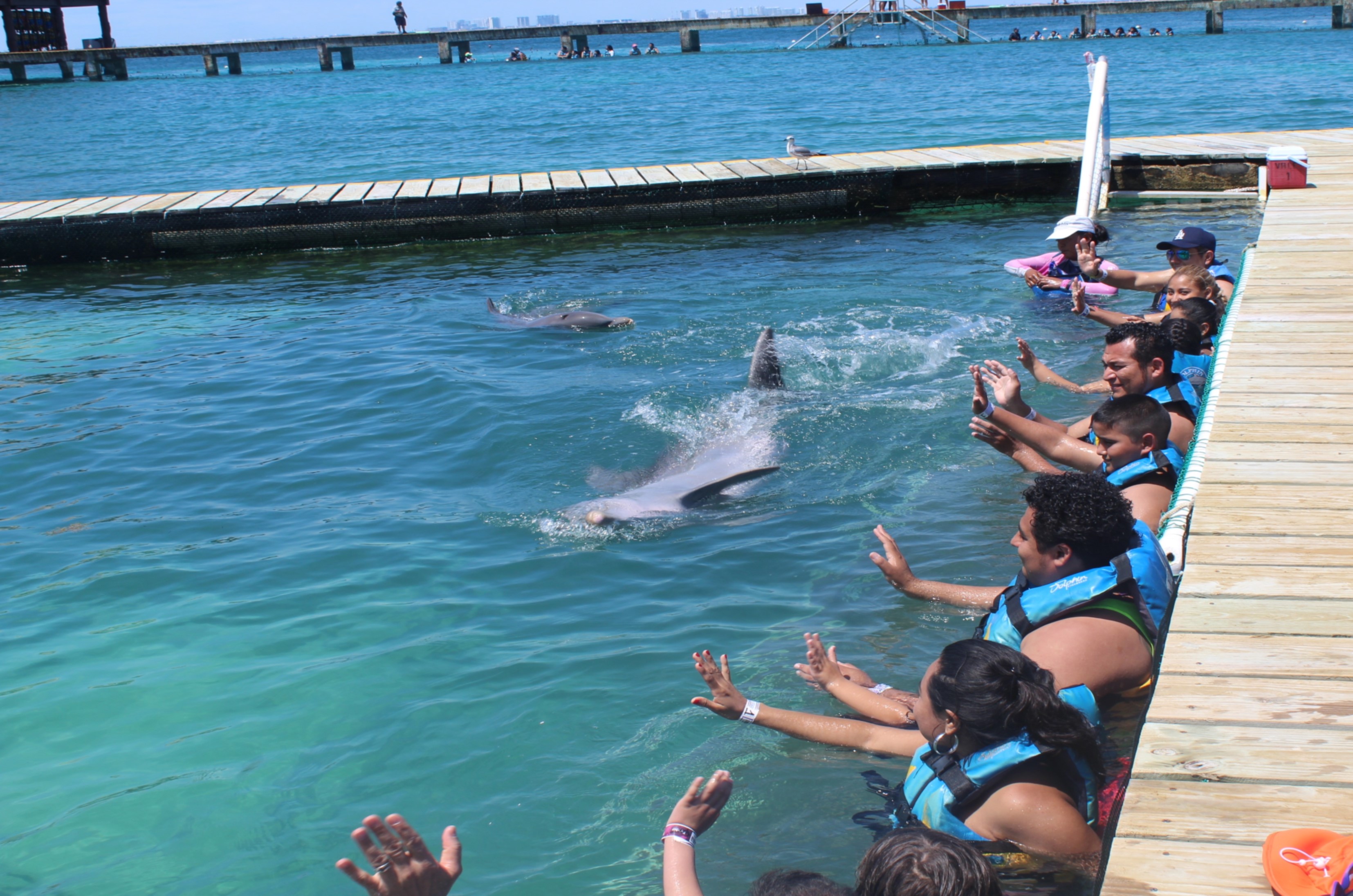 FUNDACIÕN DOLPHIN DISCOVERY FIRMÕ CONVENIO CON ASOCIACIONES BENEFICIADAS
