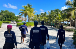 DOLPHIN DISCOVERY PUNTA CANA
            REHABILITA A DELFÍN SILVESTRE DESORIENTADO 