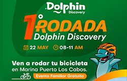 DOLPHIN DISCOVERY LOS CABOS ANUNCIA SU 1a. RODADA