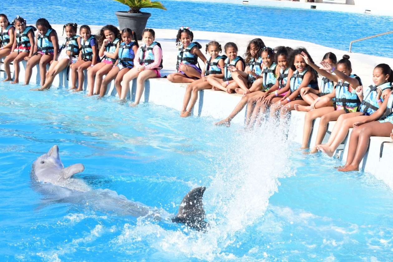 LAS MEJORES ACTIVIDADES DE PUNTA CANA SOLO EN DOLPHIN DISCOVERY