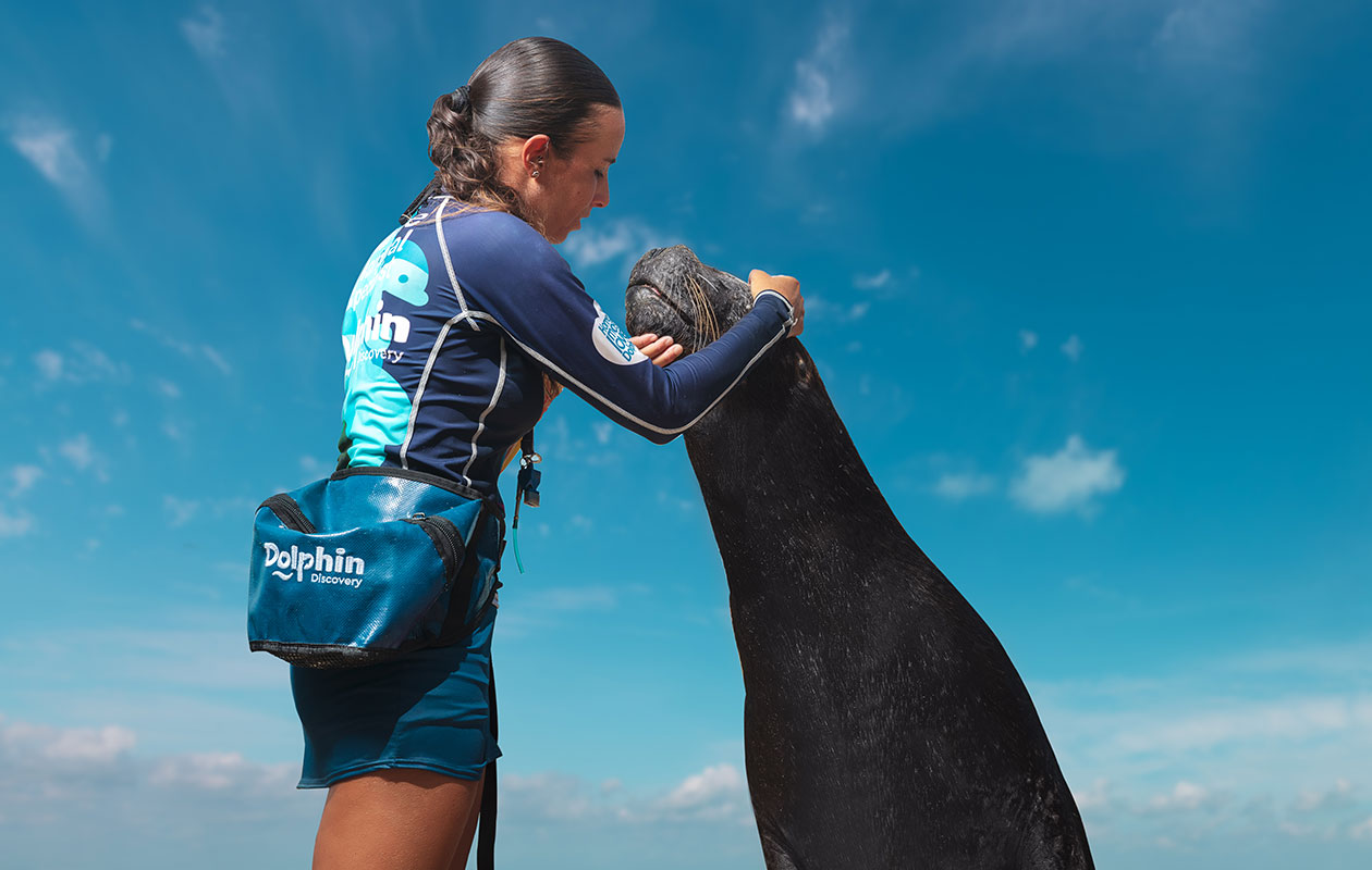 DOLPHIN DISCOVERY ES GALARDONADO COMO MEJOR PARQUE ACUÁTICO EN MÉXICO EN LOS TRAVY AWARDS 2022