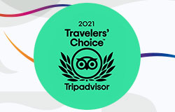 PARQUES, HÁBITATS Y MARINAS DE THE DOLPHIN COMPANY GALARDONADAS POR TRAVELER’S CHOICE AWARDS DE TRIPADVISOR