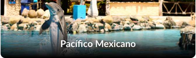 pacifico mexicano