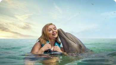 Dolphin Encounter