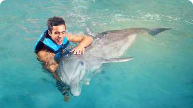 Dolphin Swim Adventure