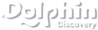Dolphin Discovery
