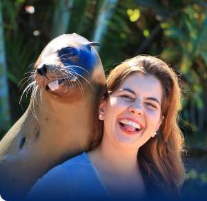 Nado con lobos marinos en Vallarta