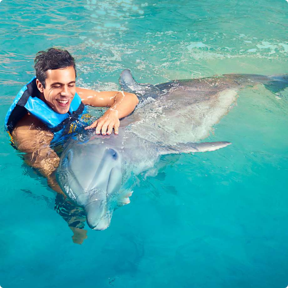 Dolphin Encounter