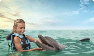 Encounter With a Dolphin 