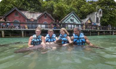 Shark Encounter 