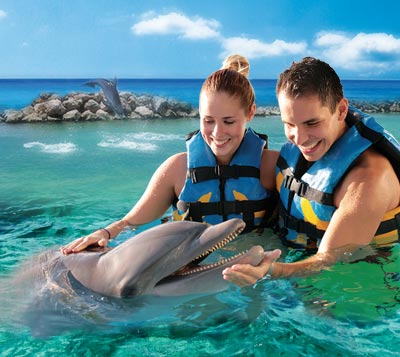 Dolphin Cove