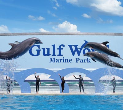 Gulf World