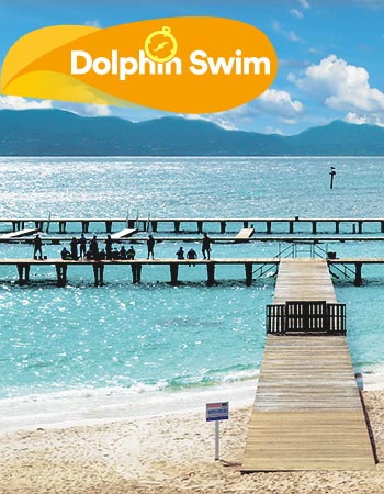 Dolphin Discovery Anguila