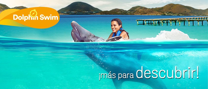 Dolphin Discovery Anguila